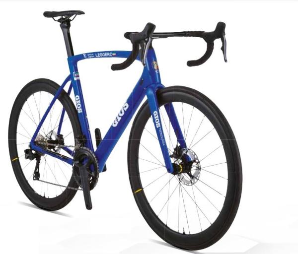 Gios Leggero Disc Frame